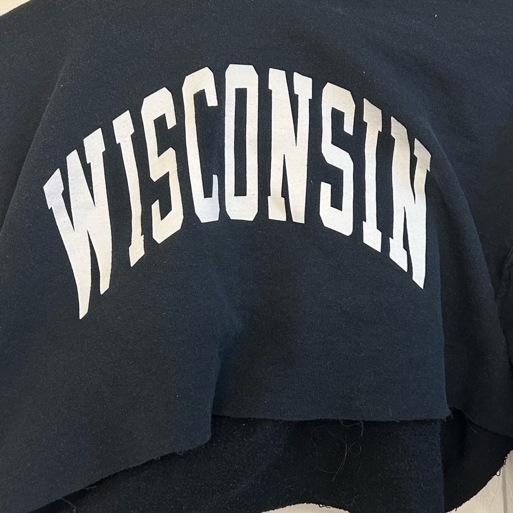 CROPPED WISCONSIN HOODIE